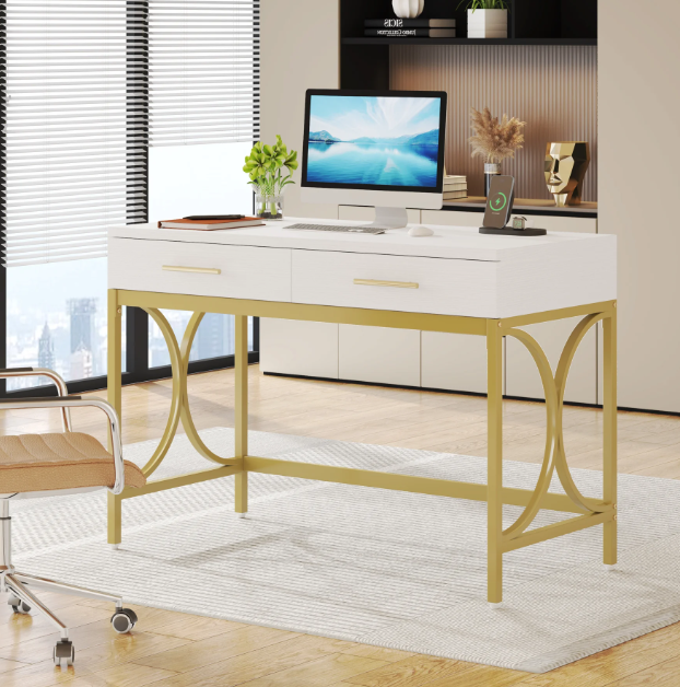 Luxury Computer Desk with Two Drawers