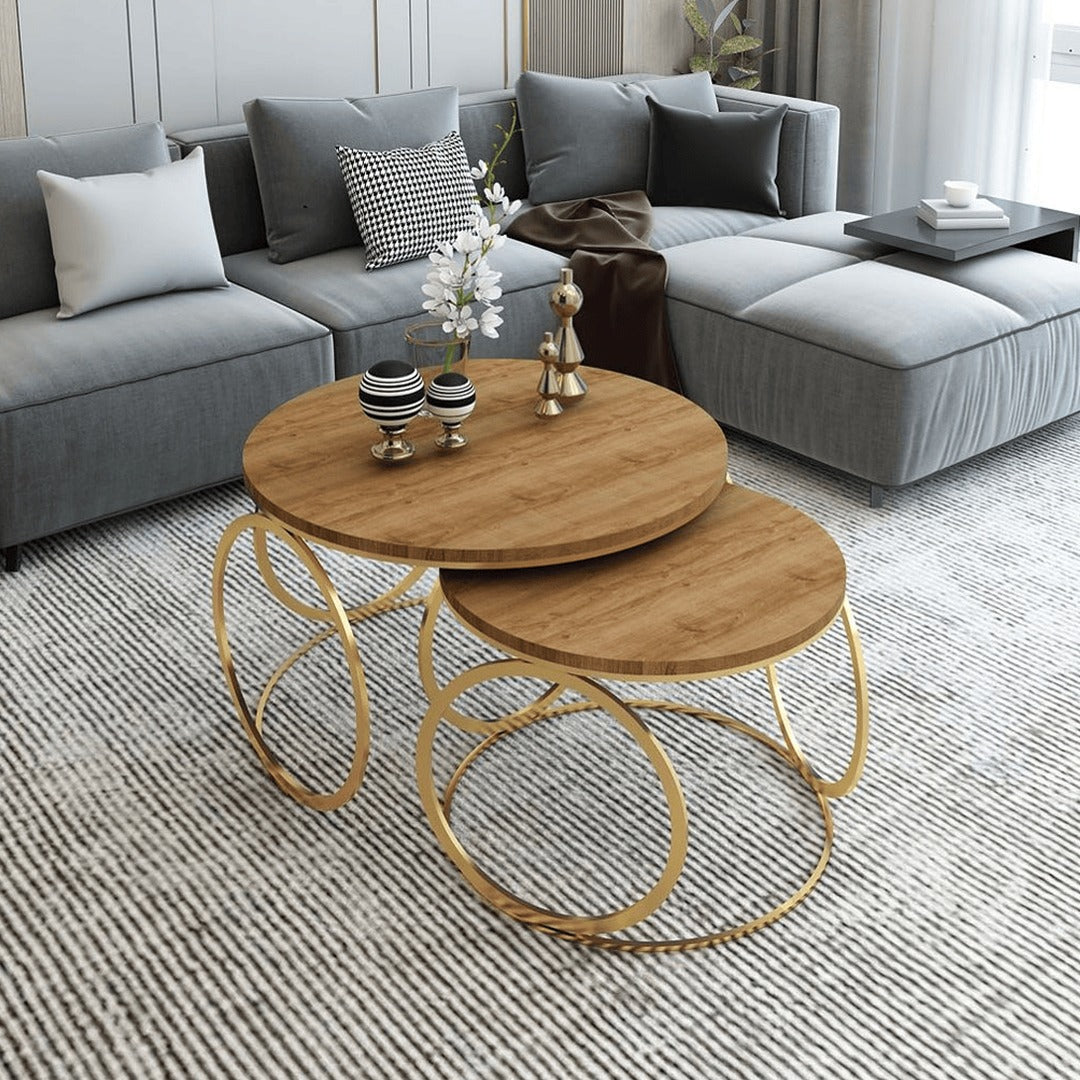 Set of 2 Modern Round Nesting Coffee Table Set