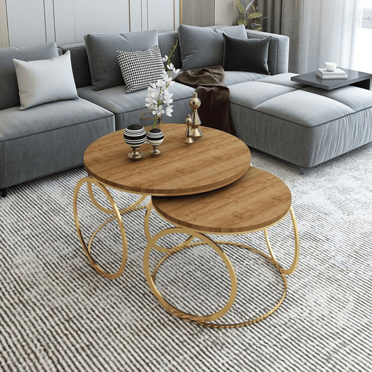 Set of 2 Modern Round Nesting Coffee Table Set